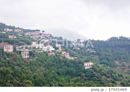 Daylight foggy view to Eze village, trees 37045469
