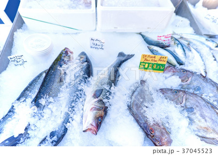Fresh fish on ice for sale with price signs 37045523