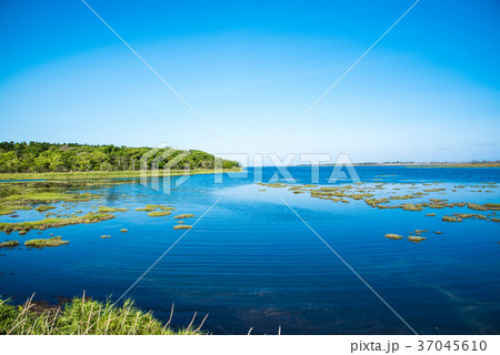 春国岱（しゅんくにたい)　北海道 37045610