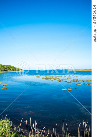 春国岱(しゅんくにたい) 北海道 春国岱(しゅんくにたい) 北海道 37045614