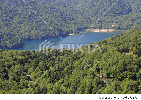 日光白根山ロープウェイから見た丸沼周辺 37045628