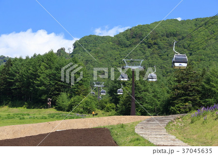 日光白根山ロープウェイ山麓駅付近 37045635