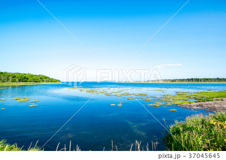 春国岱(しゅんくにたい) 北海道 春国岱(しゅんくにたい) 北海道 37045645