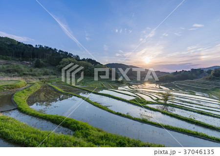 岡山_大垪和西の棚田 岡山_大垪和西の棚田 37046135
