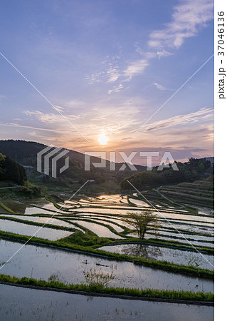 岡山_大垪和西の棚田 37046136