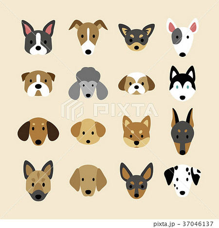 Set Of Breeds Of Dogのイラスト素材
