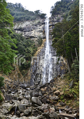 那智の滝（那智大滝）飛瀧神社（和歌山県東牟婁郡那智勝浦町） 37046790
