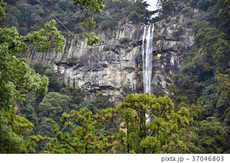 那智の滝（那智大滝）飛瀧神社（和歌山県東牟婁郡那智勝浦町） 37046803