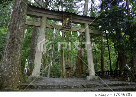 那智の滝（那智大滝）飛瀧神社　鳥居（和歌山県東牟婁郡那智勝浦町） 37046805