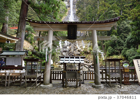 那智の滝（那智大滝）飛瀧神社（和歌山県東牟婁郡那智勝浦町） 37046811