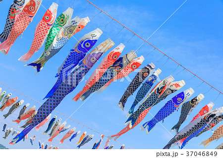 大空に泳ぐ鯉のぼりの写真素材