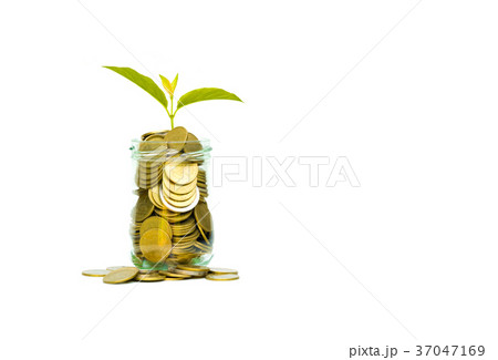 Coins in jar isolated on white background. Coins in jar isolated on white background. 37047169