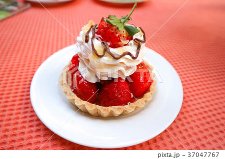 strawberry cheese pie or strawberry pie 37047767