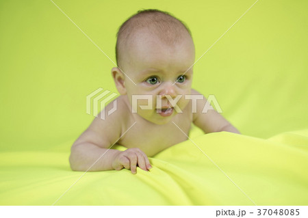 Portrait of cute baby 37048085