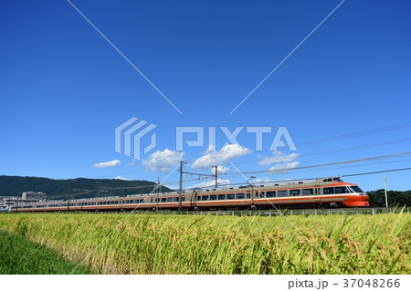 小田急ロマンスカー 7000形 小田急ロマンスカー 7000形 37048266