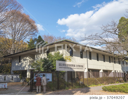 国立科学博物館附属自然教育園の入口建物(東京都港区) 国立科学博物館附属自然教育園の入口建物(東京都港区) 37049207