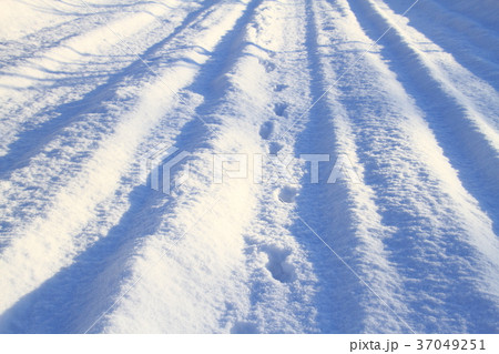 冬の北海道除雪前の雪道、動物の足跡 37049251