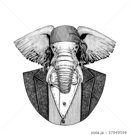 African or indian Elephant Wild biker, pirate 37049599