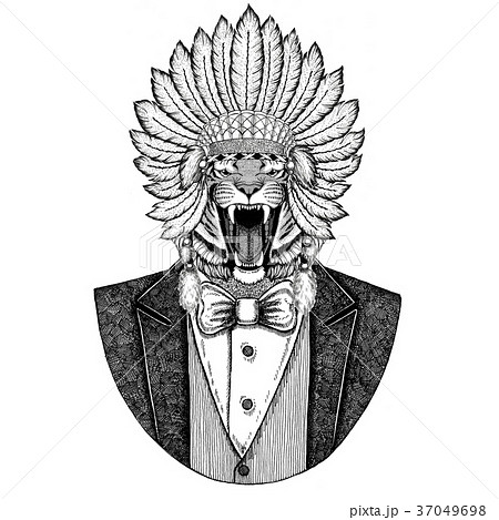 Wild tiger Wild animal wearing inidan hat, head 37049698