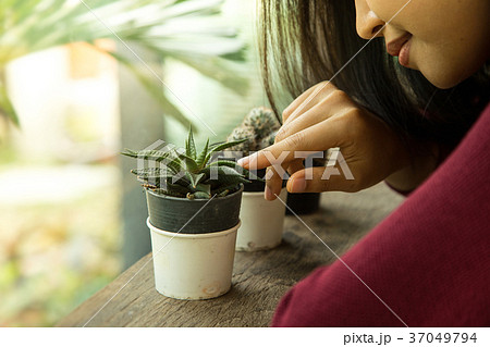cactus 37049794