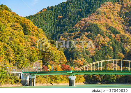 《東京都》秋の奥多摩湖・自然風景 37049839
