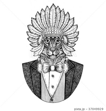 Wild cat Fishing cat Wild animal wearing inidan Wild cat Fishing cat Wild animal wearing inidan 37049929