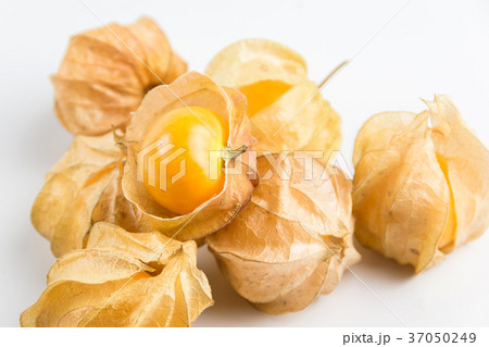cape gooseberry physalis fruit on white background 37050249