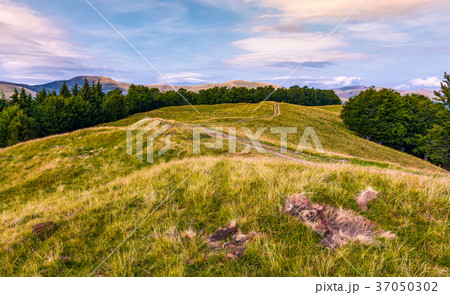 off road trail through hills of Carpathians 37050302
