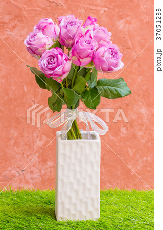 Violet rose in vase Violet rose in vase 37051233