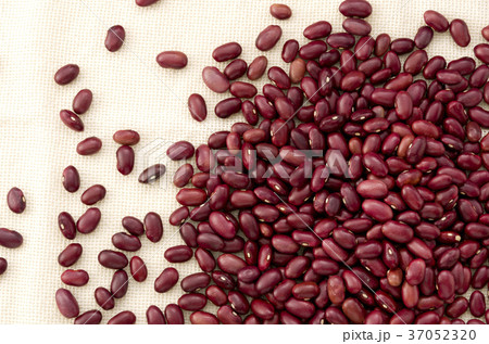 金時豆 金時豆 37052320