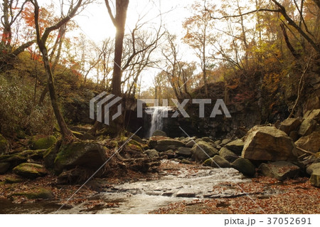 熊本県阿蘇郡南小国　マゼノ渓谷　マゼノ滝　黒川温泉からそう遠くありません。 37052691
