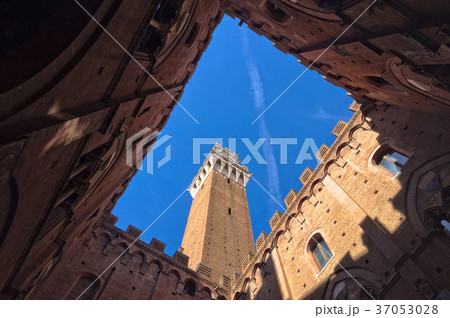 Torre del Mangia from the Courtyard - Siena 37053028