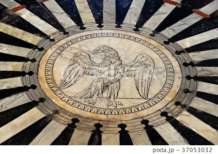 Imperial Eagle - Siena 37053032
