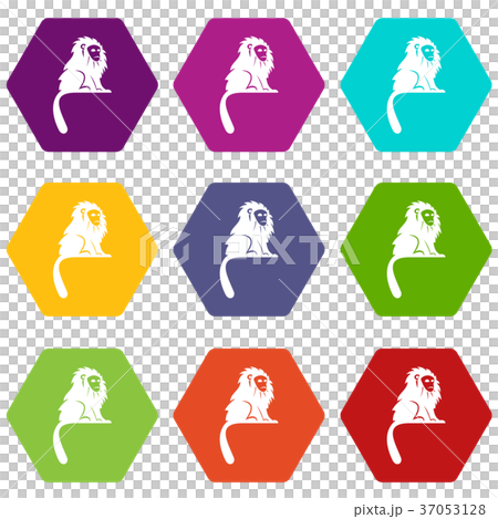 Hairy monkey icon set color hexahedron 37053128