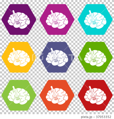 Fork is inserted into the brain icon set color hexahedron Fork is inserted into the brain icon set color hexahedron 37053352