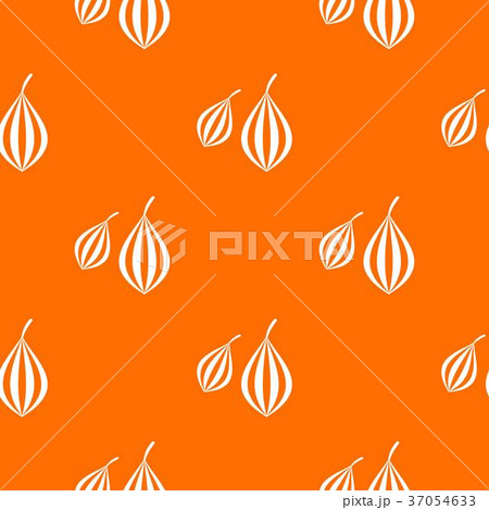 Trachyspermum ammi pattern seamless Trachyspermum ammi pattern seamless 37054633
