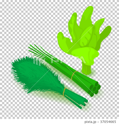 Green vegetable icon, cartoon isometric 3d style 37054665