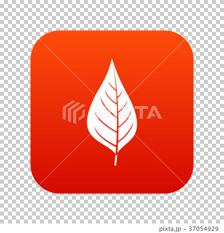 Apple tree leaf icon digital red Apple tree leaf icon digital red 37054929