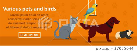 Various pets and birds banner horizontal concept 37055044