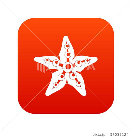 Starfish icon digital red 37055124