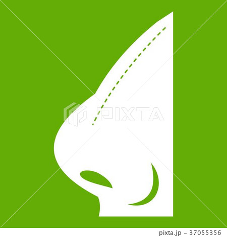 Rhinoplasty of nose icon green 37055356
