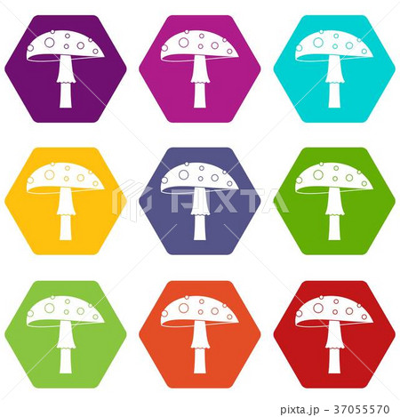 Amanita icon set color hexahedron 37055570
