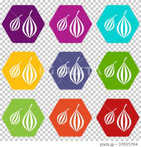 Trachyspermum ammi icon set color hexahedron 37055704