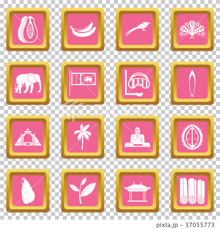 Sri Lanka travel icons pink 37055773