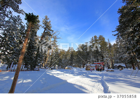 羽黒山松例祭　境内 37055858
