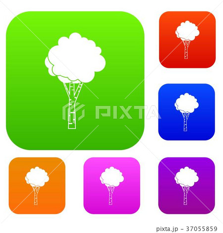 Birch set collection 37055859