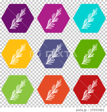 Rosemary spice icon set color hexahedron Rosemary spice icon set color hexahedron 37055901