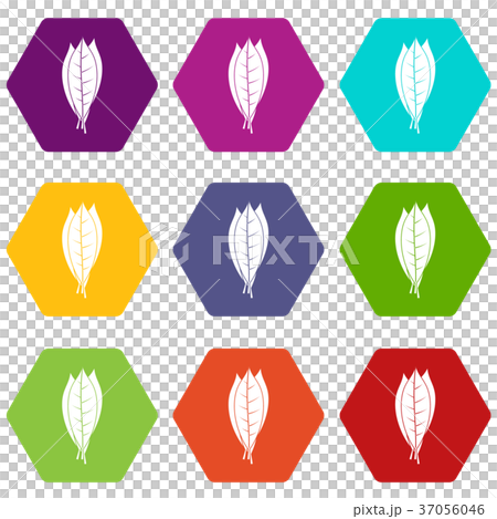 Culinary bay leaves icon set color hexahedron Culinary bay leaves icon set color hexahedron 37056046