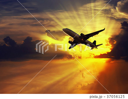 Plane in sky Plane in sky 37056125