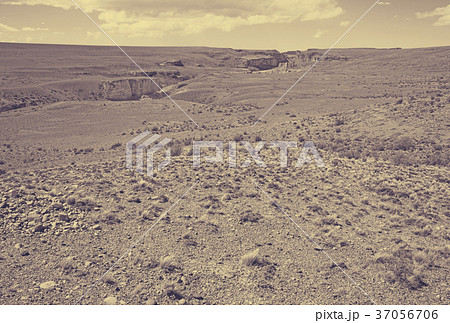 Views of landscape of Andes foothills 37056706
